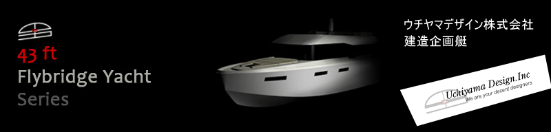 43ft Flybridge Yacht image